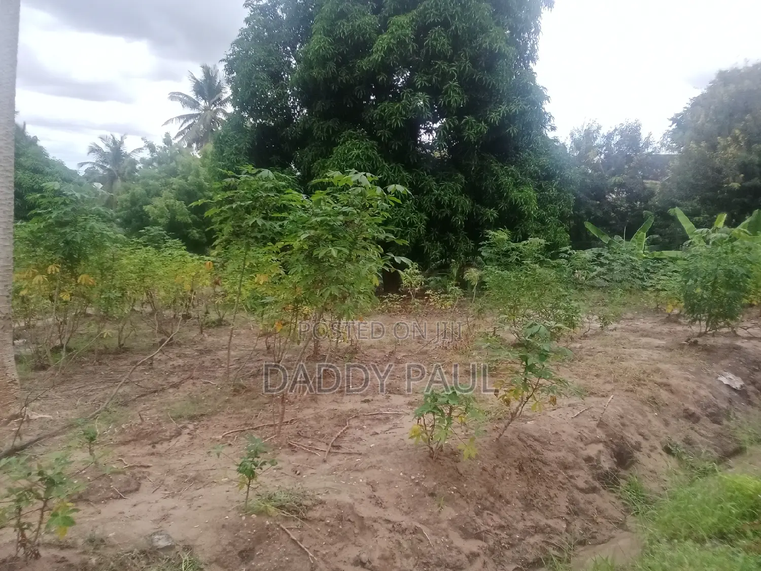 Plot For Sale At Mapinga