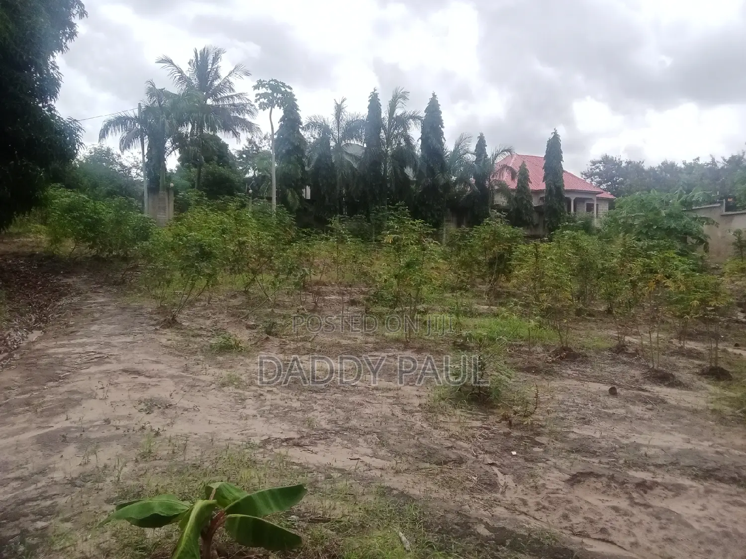 Plot For Sale At Mapinga