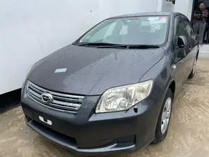 Toyota Axio 1.5 G 2WD 2008 Gray