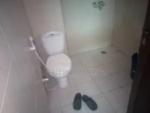 1bdrm Apartment in Dalalipapaatzseven, Kariakoo for rent