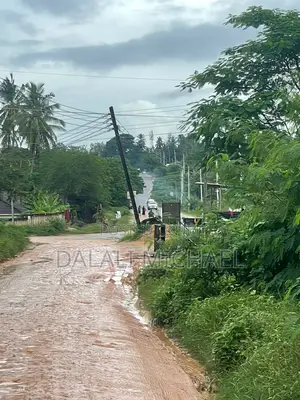 Plot for Sale Salasala Iptl
