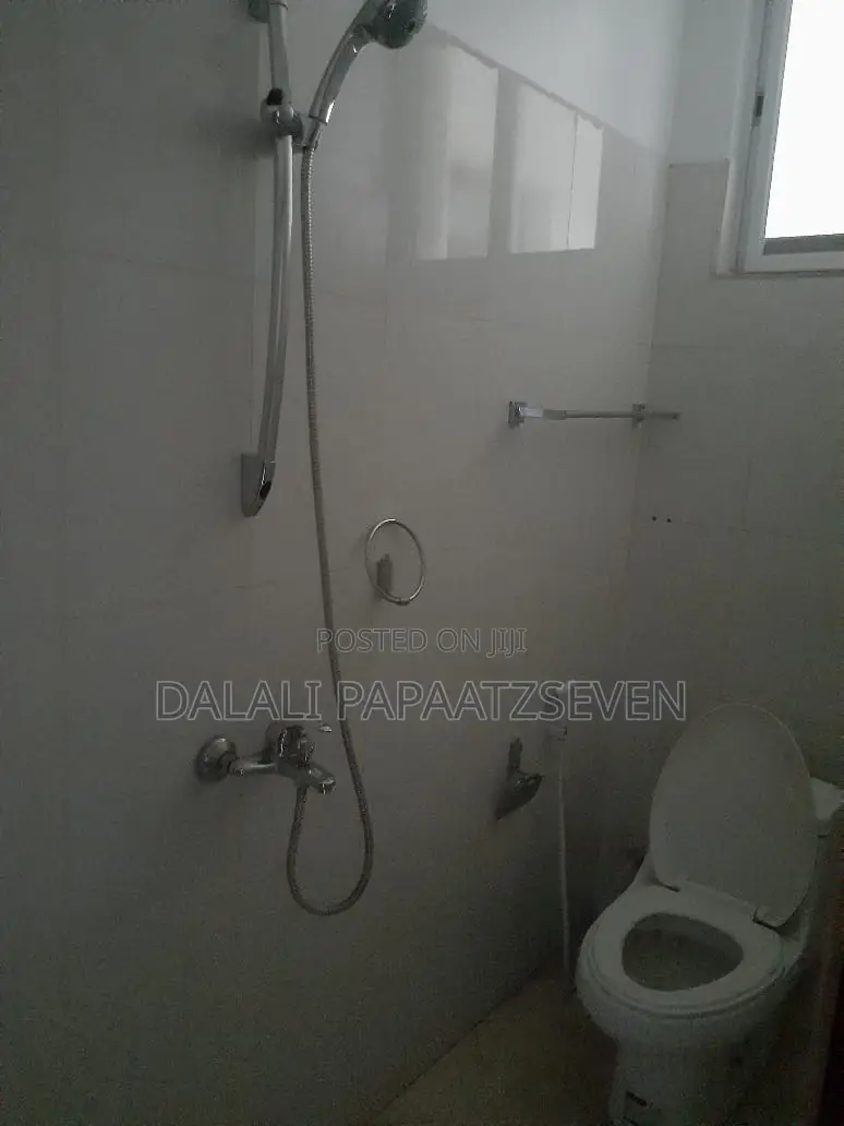 Furnished 3bdrm Apartment in Dalalipapaatzseven, Ilala for rent