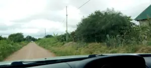 Nauza Kiwanja