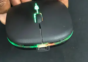 Rechargeable Wireless Mouse
