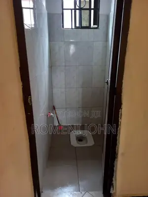 1bdrm Apartment in Tanzania Dsm Ukonga for rent