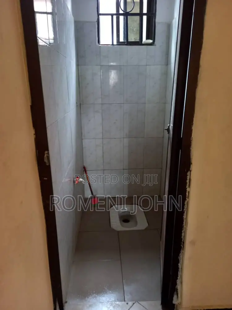 1bdrm Apartment in Tanzania Dsm Ukonga for rent
