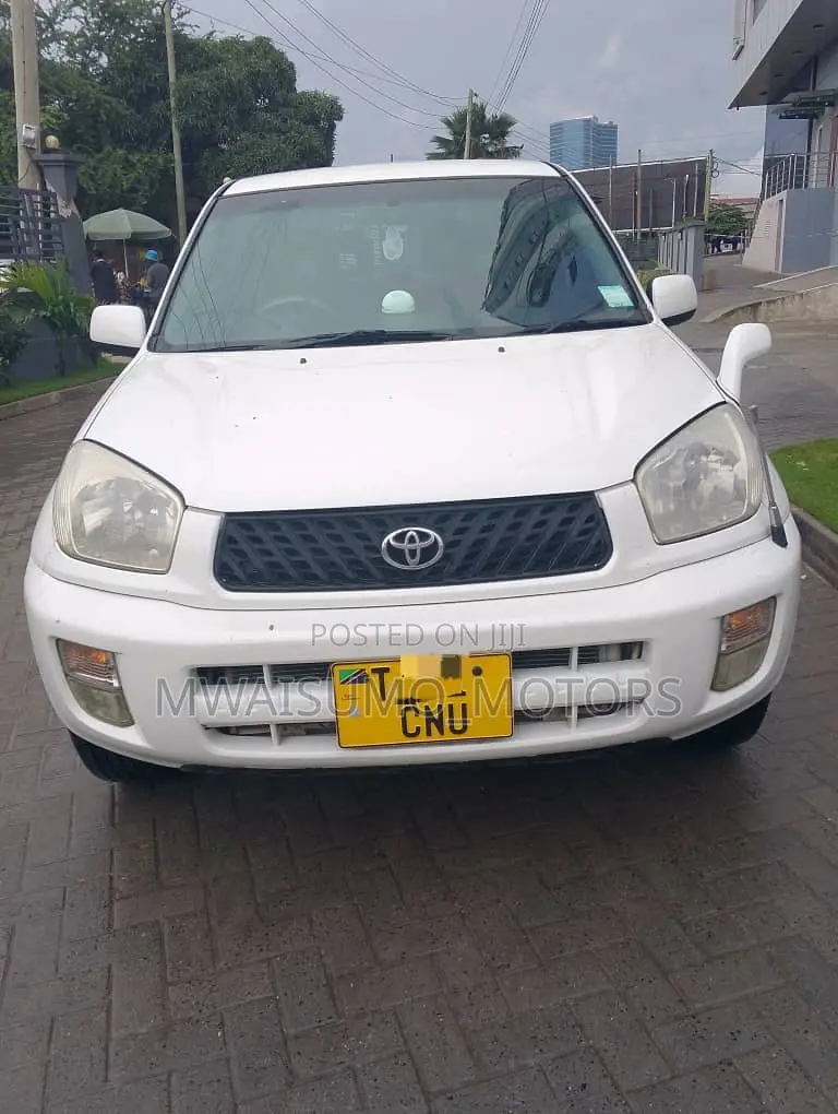 Toyota RAV4 2002 White