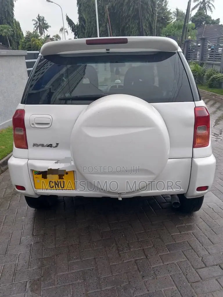 Toyota RAV4 2002 White