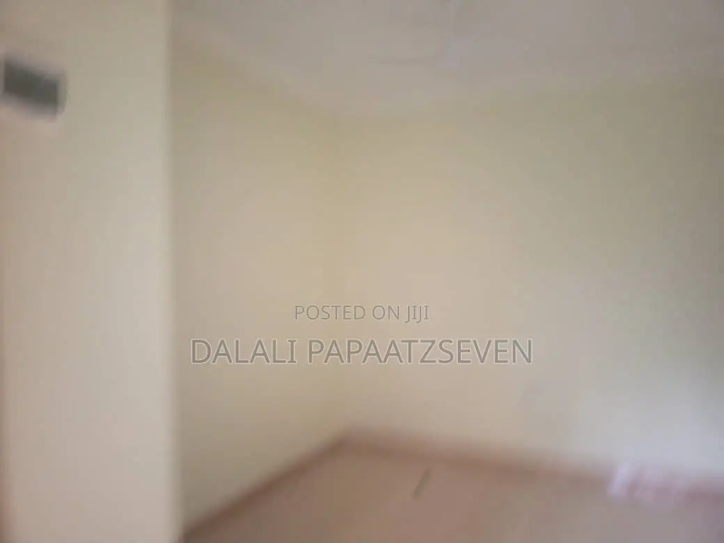 1bdrm Apartment in Dalalipapaatzseven, Kariakoo for rent