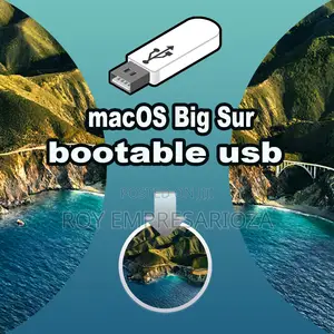 Macos Big Sur Bootable USB