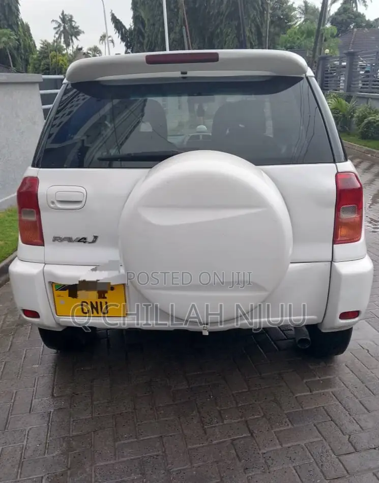 Toyota RAV4 2004 White