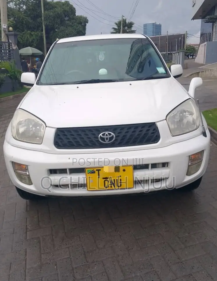 Toyota RAV4 2004 White