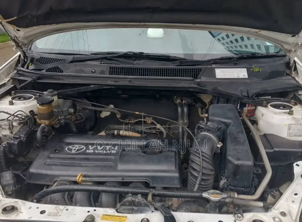 Toyota RAV4 2004 White