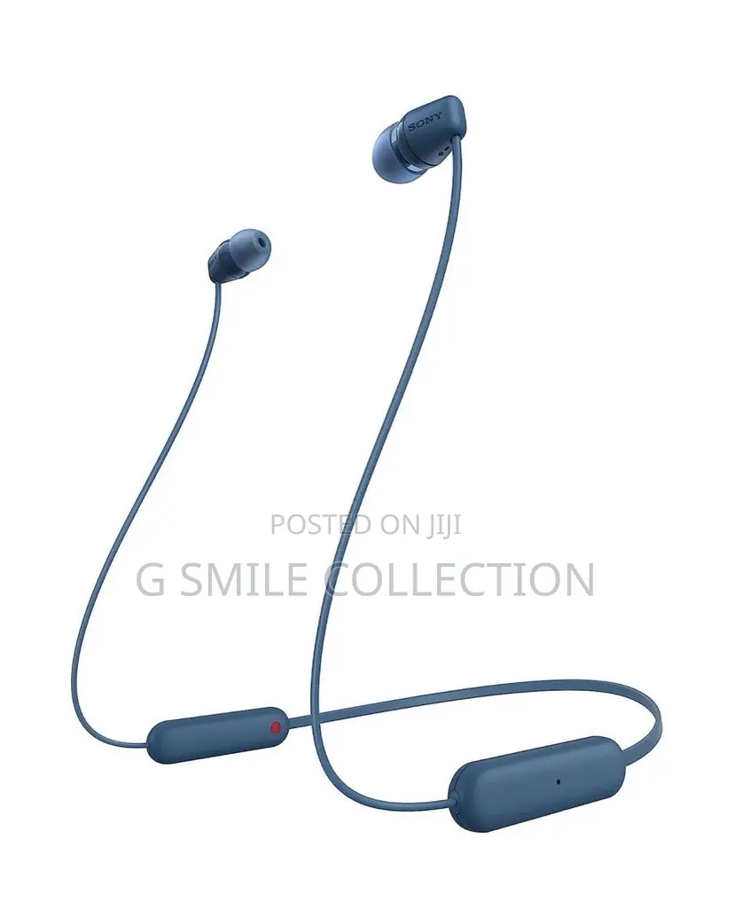 Sony Wi-C100 Neckbands