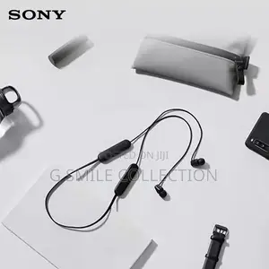 Sony Wi-C100 Neckbands