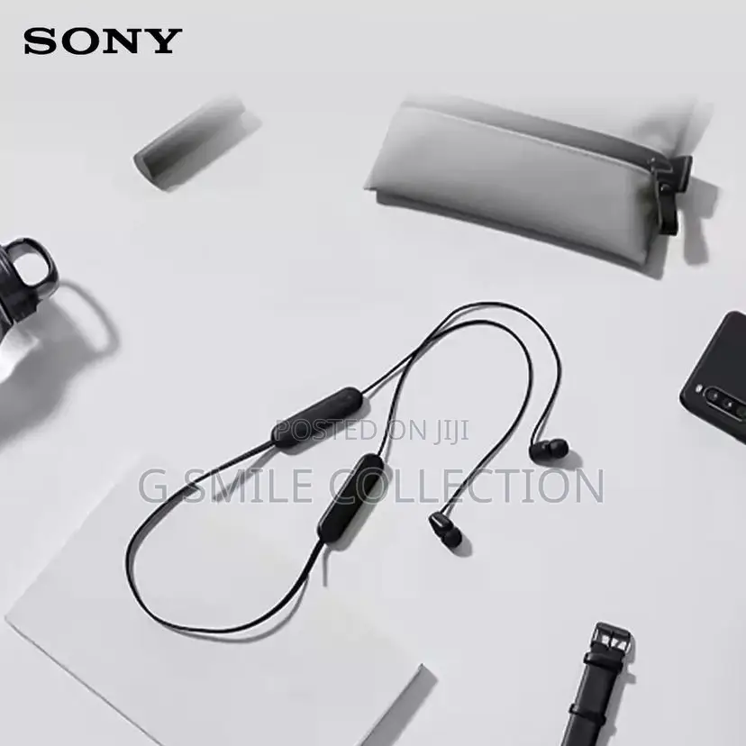 Sony Wi-C100 Neckbands