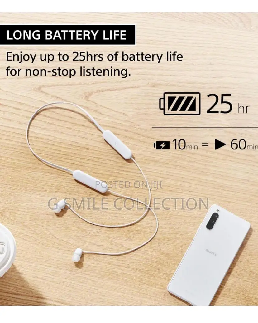 Sony Wi-C100 Neckbands