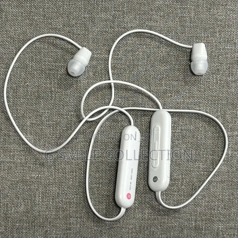 Sony Wi-C100 Neckbands