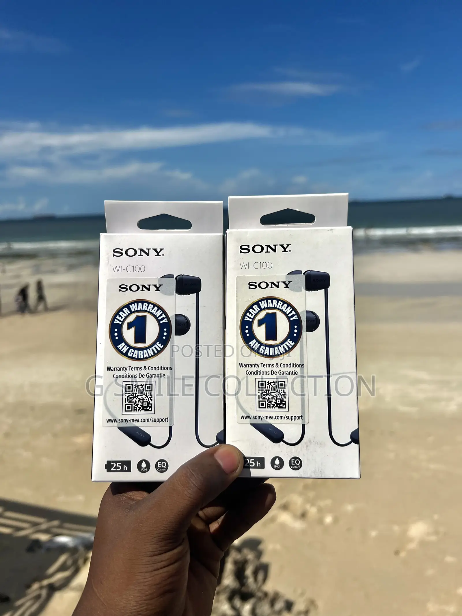 Sony Wi-C100 Neckbands