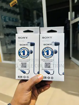 Sony Wi-C100 Neckbands