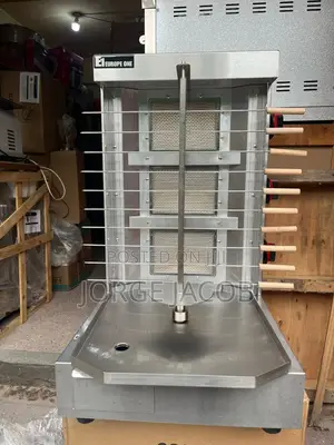 Ten Burners Commercial Shawarma Machine