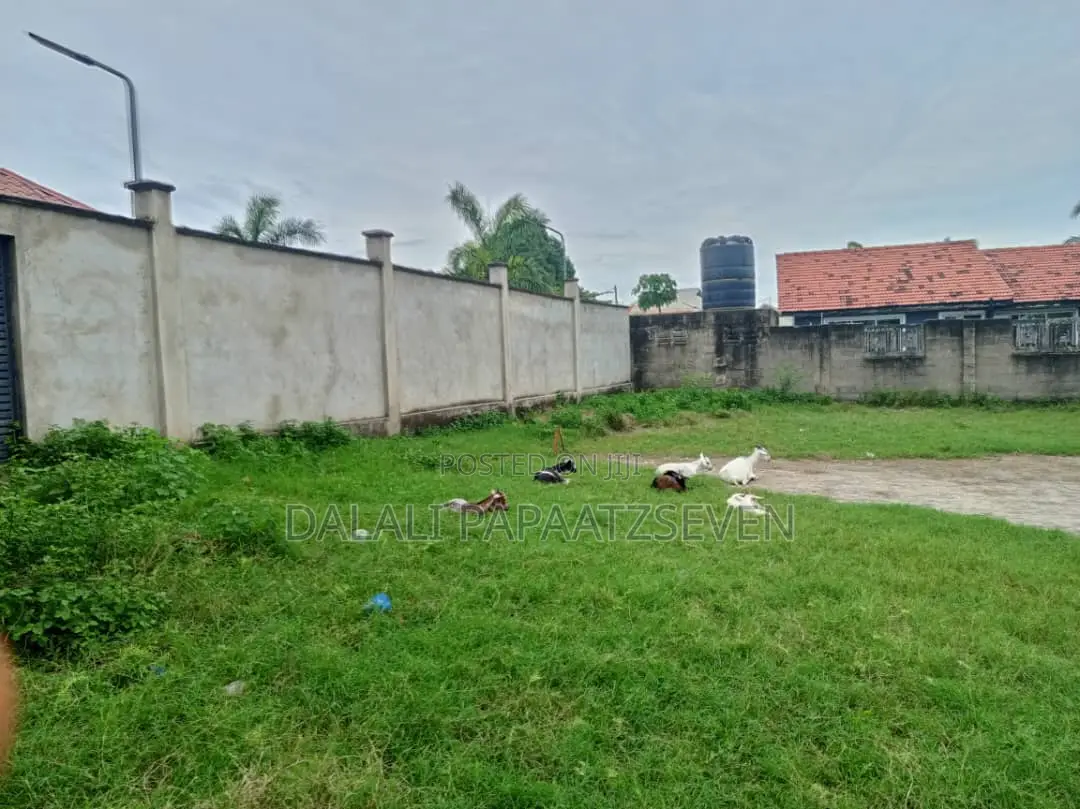 Eneo Lenye Ukubwa Wa SQMT 1400 Linauzw Lipo Tegeta Nyaishozi