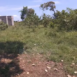 Kigamboni Mbutu: 791 546 SQM Plots Zinauzwa - Dar
