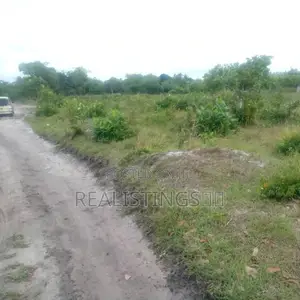 Kigamboni Mbutu: 791 546 SQM Plots Zinauzwa - Dar