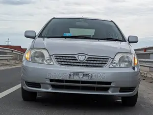 Toyota Allex 2001 Silver