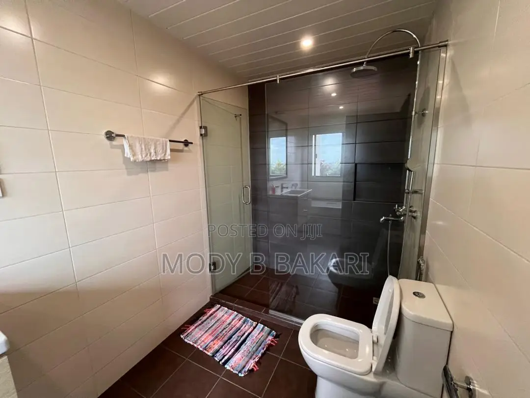 Furnished 3bdrm Apartment in Kinondoni for rent