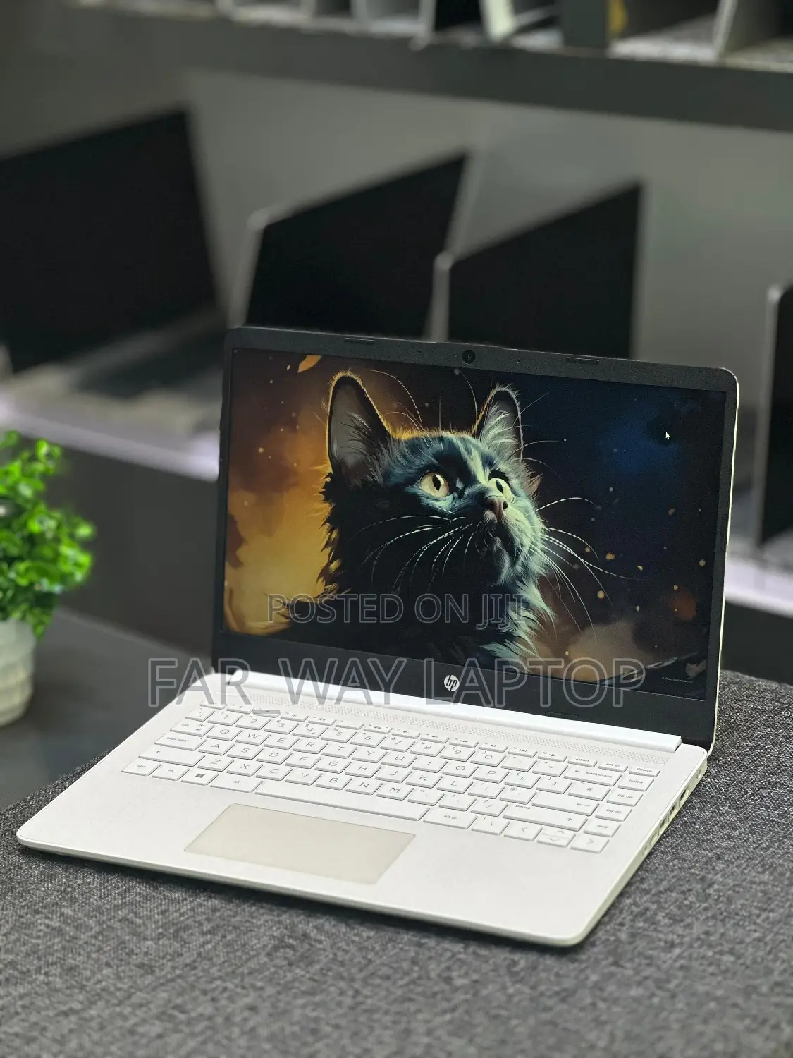 Laptop HP 14S 16GB AMD SSD 256GB