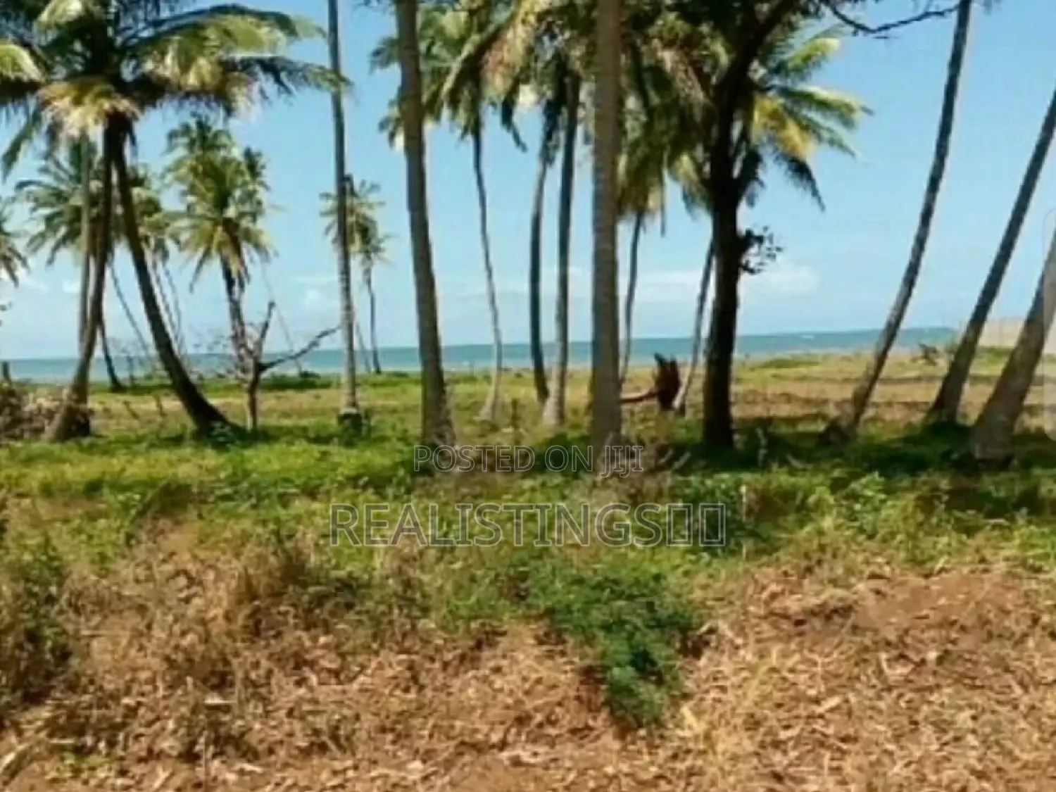 Kigamboni: Ocean Front 3 Beach Plots of 5.8 Acres Zinauzwa
