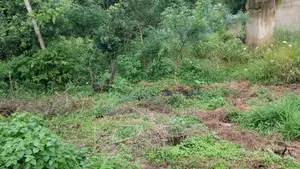 Kiwanja Kinauzwa Luguruni Kibamba