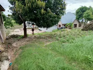 Kiwanja Kinauzwa Luguruni Kibamba