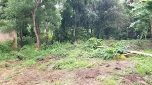 Kiwanja Kinauzwa Luguruni Kibamba