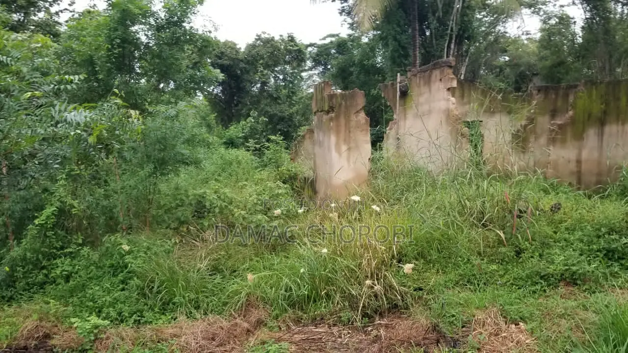 Acre 1200 Zinauzwa Iringa