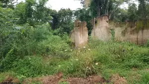 Acre 1200 Zinauzwa Iringa