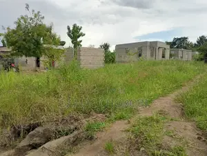 Acre 1200 Zinauzwa Iringa