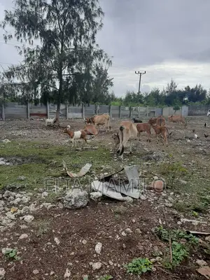Investment Plot for Sale in Zanzibar Kiwengwa