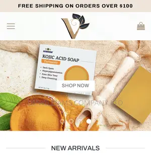 Website Design ( Clean Modern Look)
