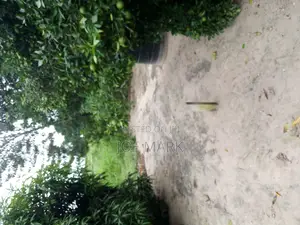 Kiwanja Kinauzwa Kibaha