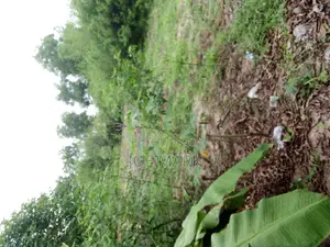 Kiwanja Kinauzwa Kibaha