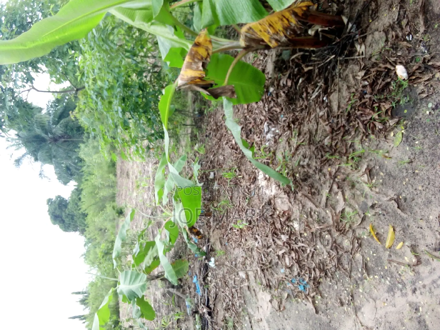 Kiwanja Kinauzwa Kibaha