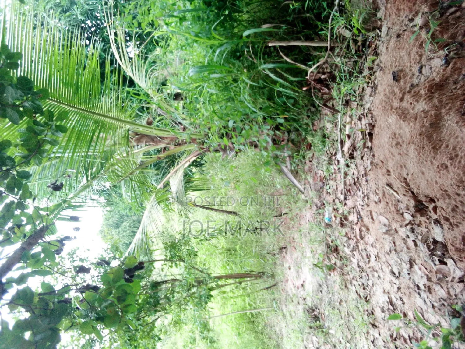 Kiwanja Kinauzwa Kibaha