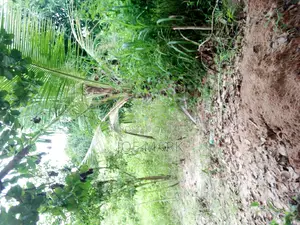 Kiwanja Kinauzwa Kibaha
