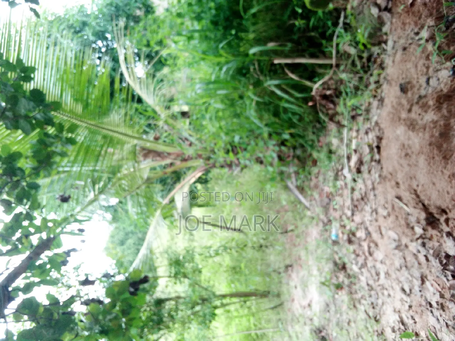 Kiwanja Kinauzwa Kibaha