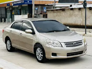 Toyota Axio 2006 Gold