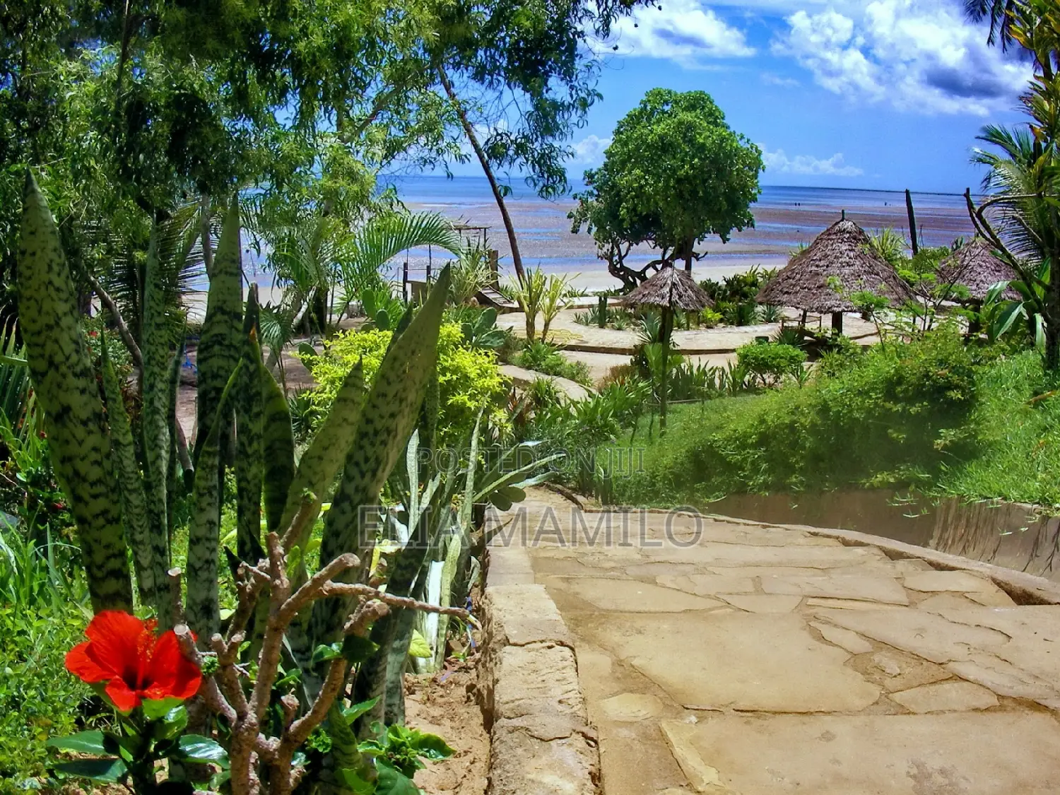 Beach Hotel for Sale in Bagamoyo