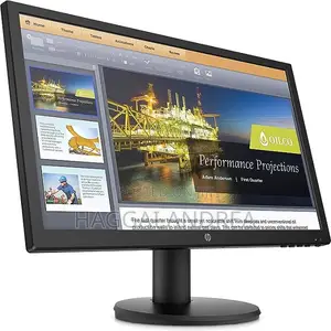 HP P204V, 19.5 Inch Monitor