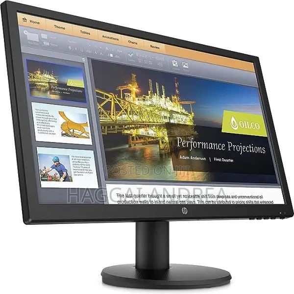 HP P204V, 19.5 Inch Monitor
